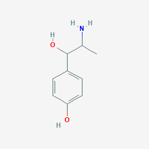 p-HYDROXYNOREPHEDRINE