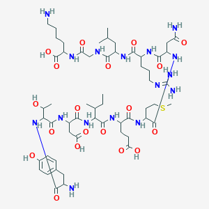 VSV-G Peptide